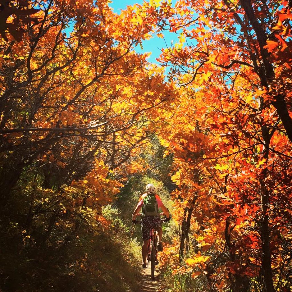 Mountain Biking in the Fall