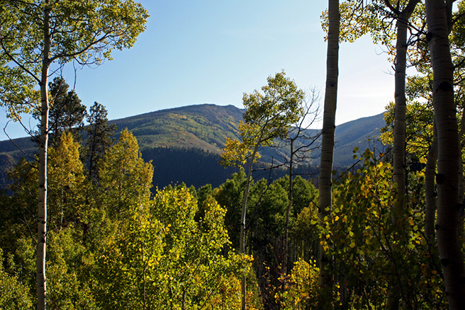 mckenzie gulch eagle colorado